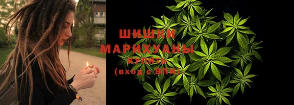 прущий лед Абаза